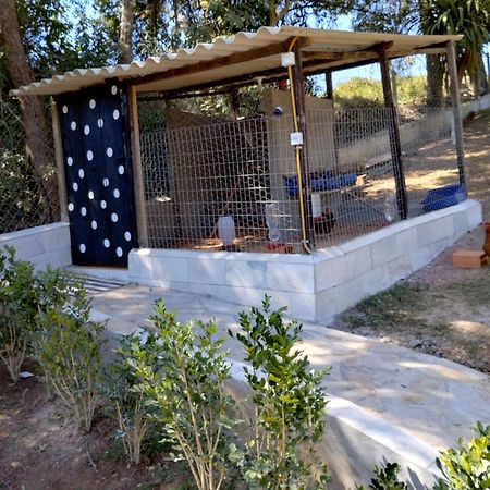 Biju'S Little Farm Villa Ibiúna Dış mekan fotoğraf
