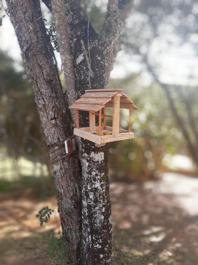 Biju'S Little Farm Villa Ibiúna Dış mekan fotoğraf