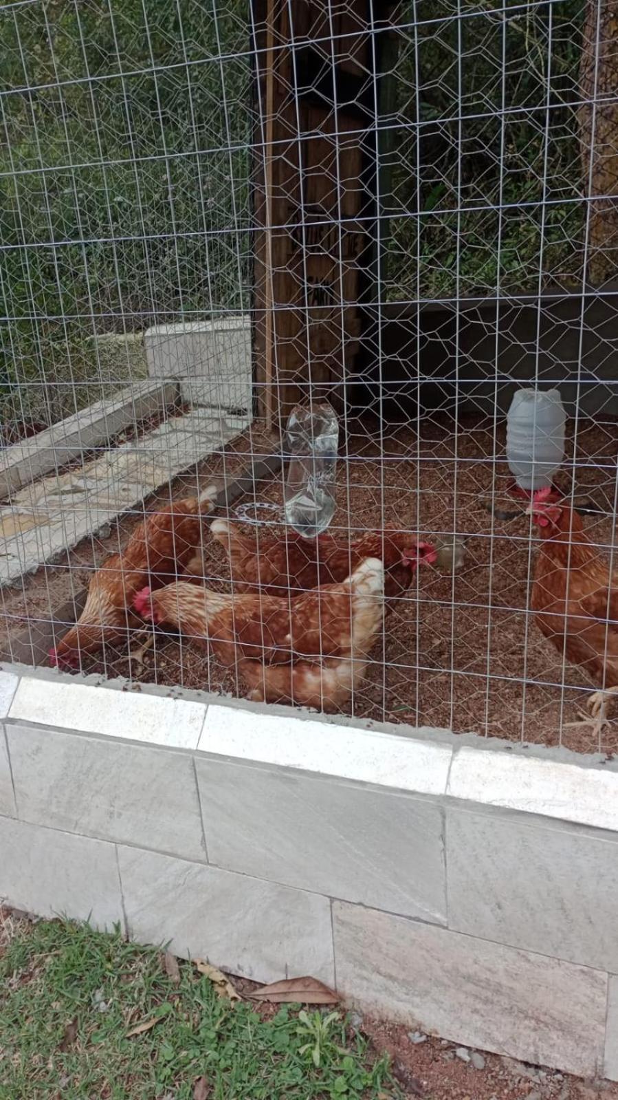 Biju'S Little Farm Villa Ibiúna Dış mekan fotoğraf